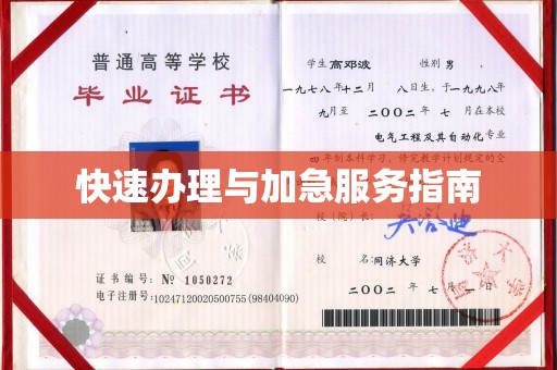格尔木快速办理与加急服务指南