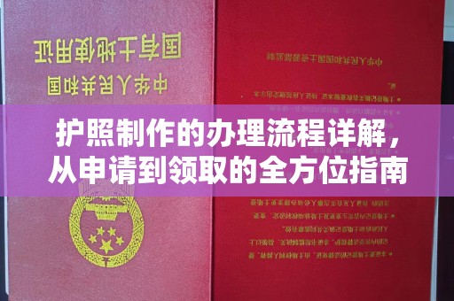 格尔木护照制作的办理流程详解，从申请到领取的全方位指南