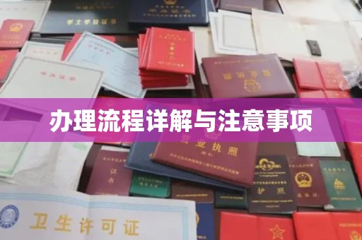 格尔木办理流程详解与注意事项